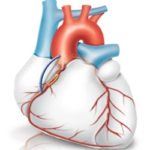 Os grandes avanços da cardiologia