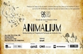 Animalium :: Mostra Artística Do Programa De Formação Do Artista De Circo