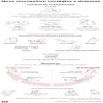 Como o coronavírus é transmitido?