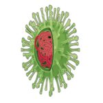 Coronavírus: cuidados com as doenças raras durante a pandemia