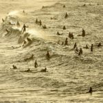 Centenas de surfistas aproveitam reabertura de praia na Austrália