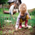 Como criar uma pequena horta em casa com as crianças