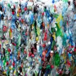 Bactéria mutante pode tornar plásticos 100% recicláveis