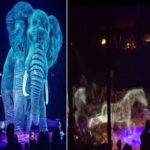 Circo alemão usa hologramas em vez de animais vivos