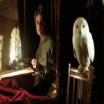 Número de corujas vendidas na Ásia aumentou por causa de Harry Potter