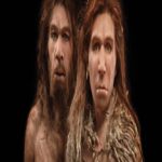 Supercomputador revela por que neandertais foram extintos