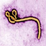 Primeira vacina contra o vírus ebola é aprovada na União Europeia