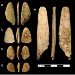 Neandertais eram criteriosos na criação de ferramentas, indica pesquisa