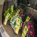 Lowe’s envia amor do dia das mães para idosos isolados com US $ 1 milhão em cestas de flores entregues por produtores locais