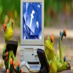 Facebook vai rotular publicações provenientes de mídias estatais