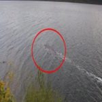 Existe uma nova foto do monstro do lago ness, mas tem um problema.