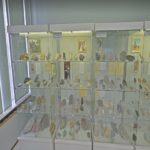 Vernadsky State Geological Museum – Tour Online