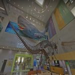 Seodaemun Museum of Natural History – Tour Online