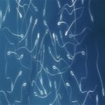 Espermatozoides colhidos de defuntos