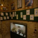 Gozo Nature Museum – Tour Online