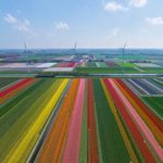 Holanda. O país das tulipas – Tour Virtual