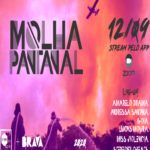 Molha Pantanal – Evento Online