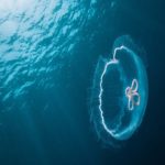 Mergulhando com água-viva – Tour Virtual
