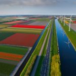 Holanda. O país das tulipas – Tour Virtual