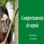 Comportamento de Saguis – Evento Online