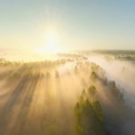Floresta de Bryansk em uma manhã de nevoeiro. Rússia – Tour Virtual
