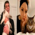 Homem fica noivo de mulher que viajou 4.000 milhas para conhecer – depois que ela gostou de uma foto de seu gato gordinho