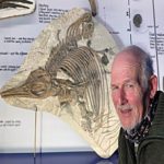 Nova Espécie de Dinossauro Marinho Pré-histórico é Descoberta