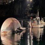 Uma das maiores carcaças de baleia foi encontrada na Itália