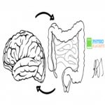 Aula introdutória ‘Comunicação intestino/cérebro’ – Evento Online
