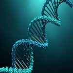 Pesquisadores agora podem coletar amostrar de DNA presentes no ar