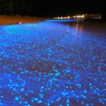Essa praia das Maldivas brilha no escuro. Confira!!