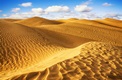10 Curiosidades Sobre o Deserto