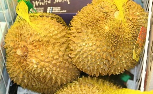 durianafrutacomossaboreseodoresmaissinistrosdoplanetaB