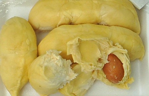 durianafrutacomossaboreseodoresmaissinistrosdoplanetaC