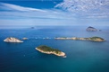 Projeto Ilha do Rio Leva Belezas do  Mona Cagarras Para o Forte de Copacabana